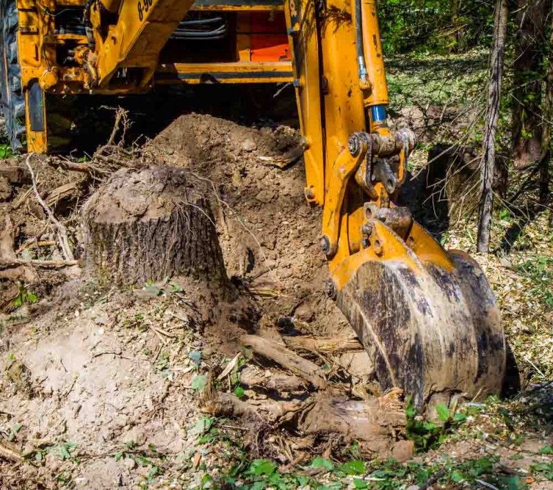 Корчевание пней компанией «Лесоруб 7»