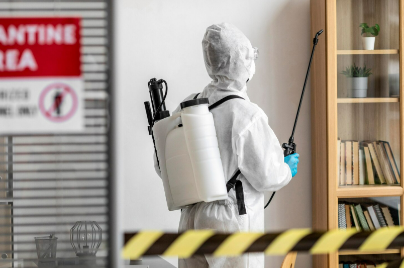 Как избавиться от мух в помещении: эффективные методы обработки