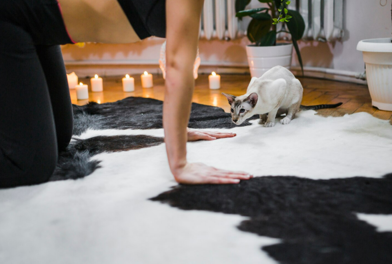 Химчистка ковров Люкс: идеальный уход за вашим домом