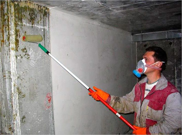 Обработка стен от плесени