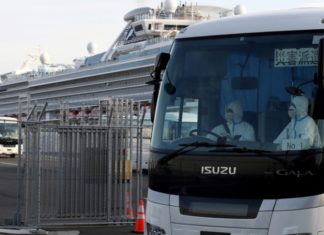 Ещё двое россиян заразились коронавирусом на круизном лайнере в Японии