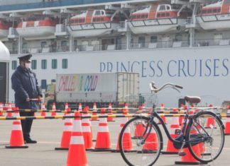 Гонконг готовит чартер для эвакуации своих граждан с лайнера в Японии