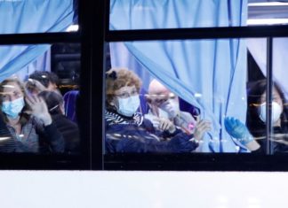 Находящиеся на Diamond Princess 24 украинца отказались эвакуироваться