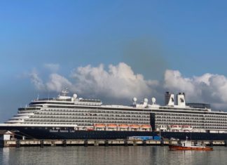 Первая группа россиян с круизного лайнера Westerdam вернулась в Россию