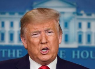 Трамп заявил о планах встретиться лично с лидерами «Талибана»