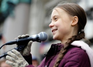 Учёные назвали новый вид улиток в честь Греты Тунберг