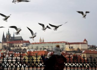 Чехия стала страной с наибольшим уровнем распространения COVID-19 в ЕС