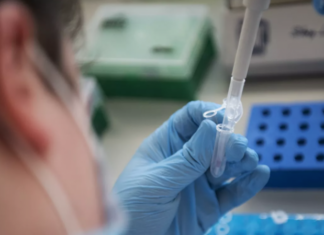 Британские учёные выявили в мире около 4 тысяч мутаций коронавируса