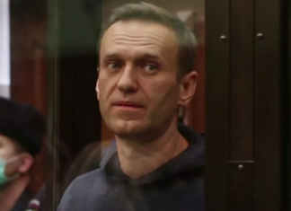 Эксперт оценил сообщения о том, что СЕ через ЕСПЧ может потребовать освобождения Навального