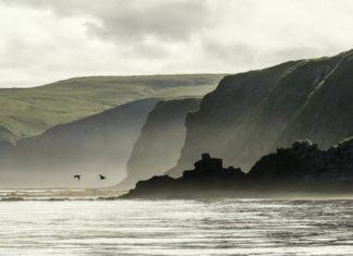 Япония намерена возобновить обсуждение с Россией проектов на Курилах