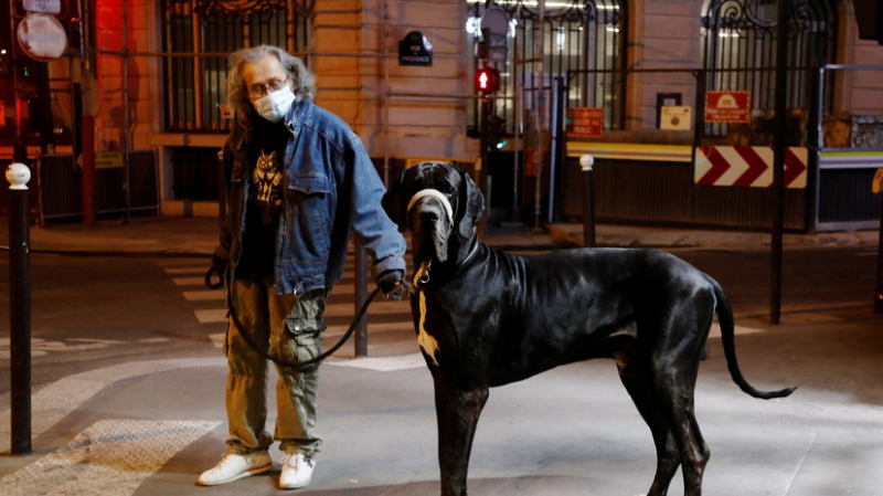 Нацсобрание Франции одобрило продление режима ЧП из-за пандемии