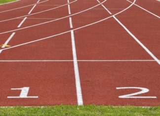 Опрос выявил наиболее популярные хобби россиян