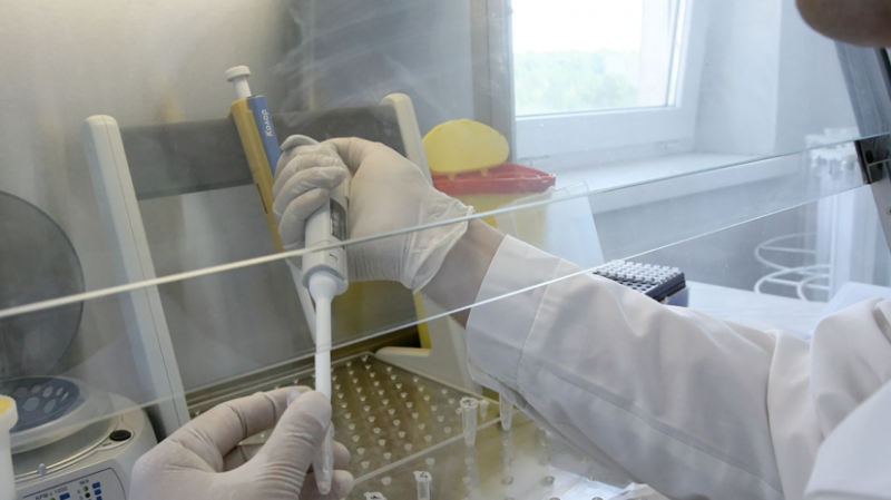 Профессор прокомментировал выявление птичьего гриппа в России