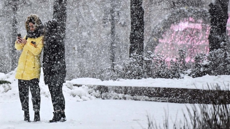 Синоптики прогнозируют метель в Москве
