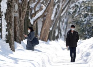 В Японии четыре человека пострадали из-за сильного ветра
