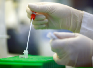 В России провели более 450 тысяч тестов на коронавирус за сутки