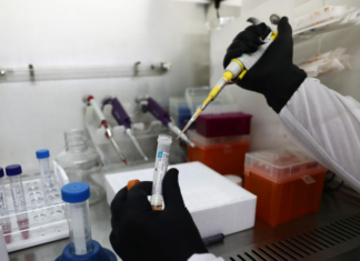 В Сербии за сутки выявили более 2400 случаев коронавируса