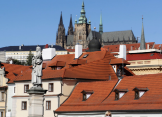 Глава МИД Чехии не исключил появления ковидных паспортов в ЕС в мае