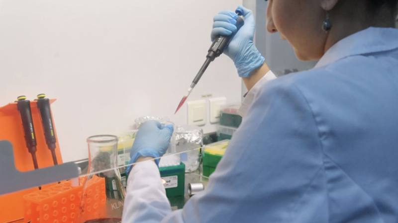 Куба начала третий этап клинических испытаний вакцины от коронавируса