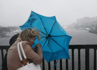 МЧС предупредило о дожде и ветре с порывами до 17 м/с в Москве