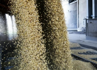 РБК: Россия установила рекорд по поставкам продовольствия за рубеж