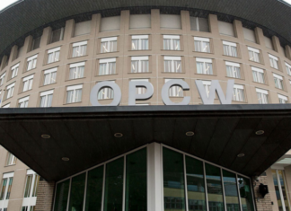 Шульгин заявил об утрате актуальности визита экспертов ОЗХО в Россию