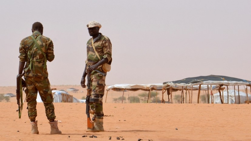 В Нигере 137 человек погибли в результате нападения боевиков