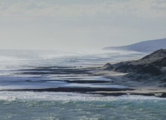 В Новой Зеландии объявили срочную эвакуацию из-за угрозы цунами