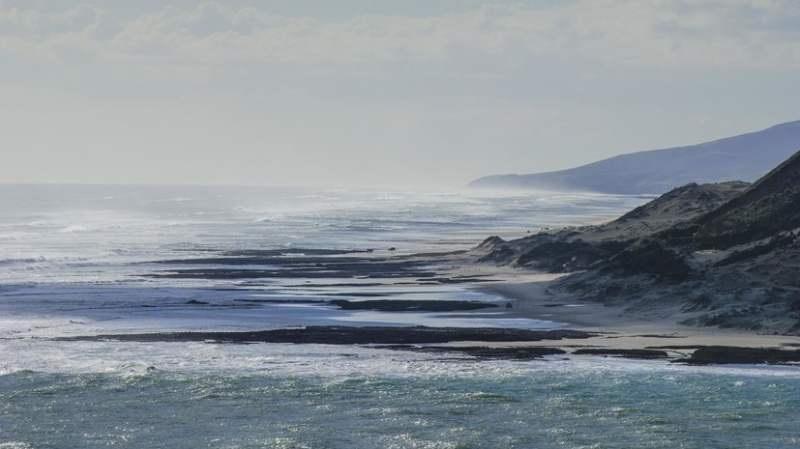 В Новой Зеландии объявили срочную эвакуацию из-за угрозы цунами