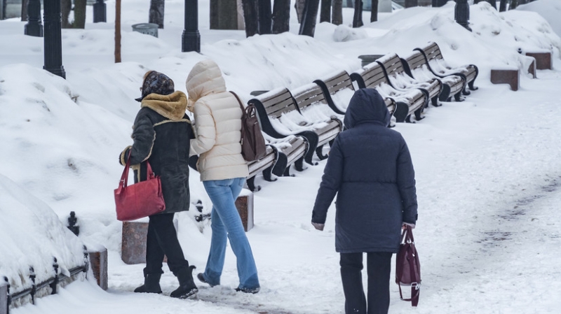 Вильфанд спрогнозировал «величавый» уход зимы