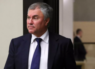 Володин осудил блокировку публикаций российских СМИ в Facebook