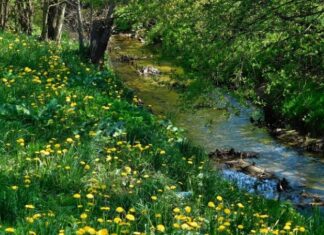 Аналитики составили список бюджетных направлений на майские праздники