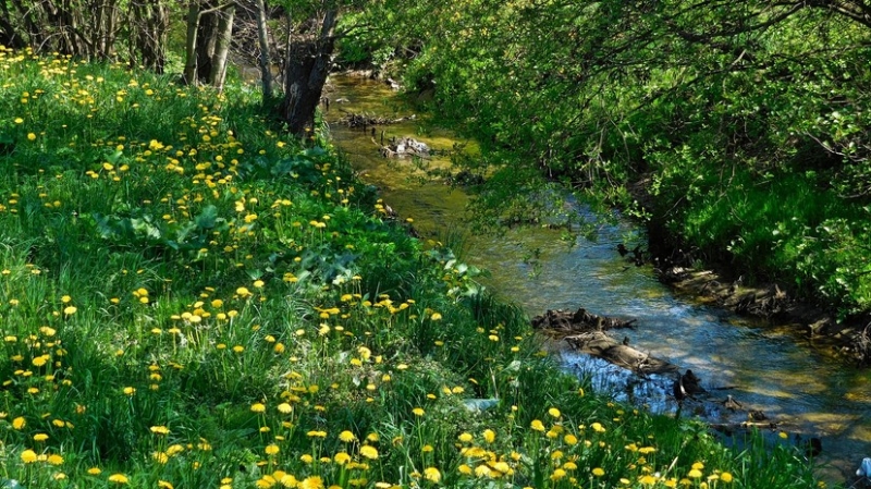 Аналитики составили список бюджетных направлений на майские праздники