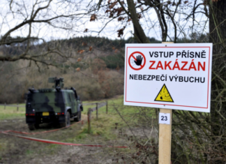 Бабиш: взрывы во Врбетице не были актом терроризма