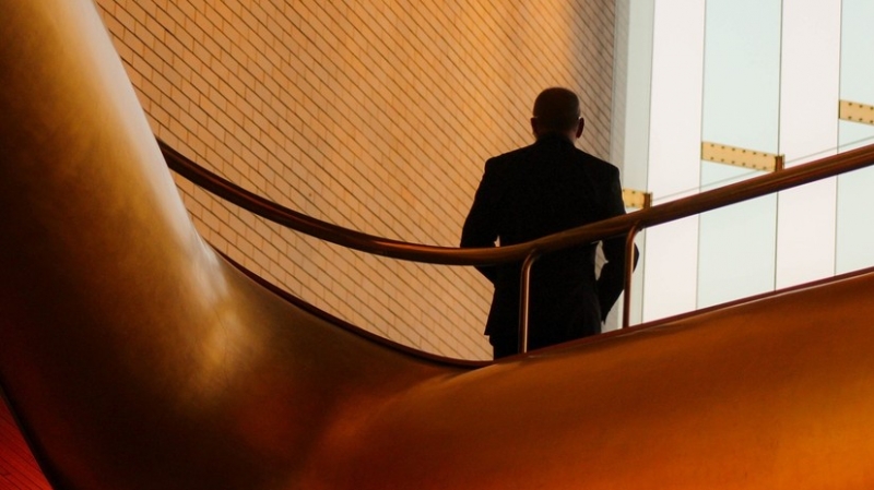 Почти 25% россиян хотели бы возглавить компанию, где работают