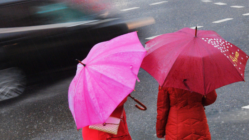 Синоптик рассказала о некомфортных погодных условиях в Москве в конце апреля