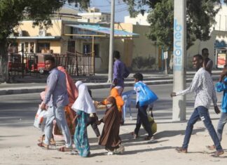 Совбез ООН поддержал проведение выборов в Сомали