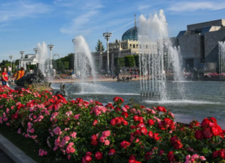 Тишковец заявил о старте фенологической и автомобильной весны в Москве