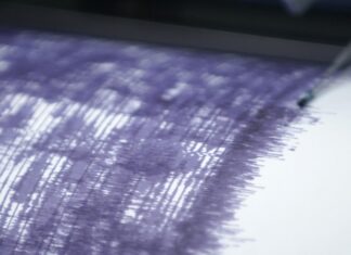 У берегов Южных Сандвичевых островов произошло землетрясение