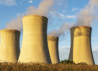 В Чехии заявили, что «Росатом» не будет участвовать в тендере на достройку АЭС «Дукованы»