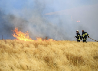 В МЧС рассказали о ситуации с возгоранием сухой травы в России
