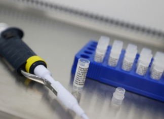 В Москве в II фазе испытаний «КОВИД-глобулина» примут участие 156 человек