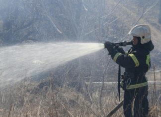 В Приморском крае площадь природных пожаров за сутки выросла в 10 раз