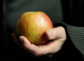 В России предложили ввести лекции диетологов в школах