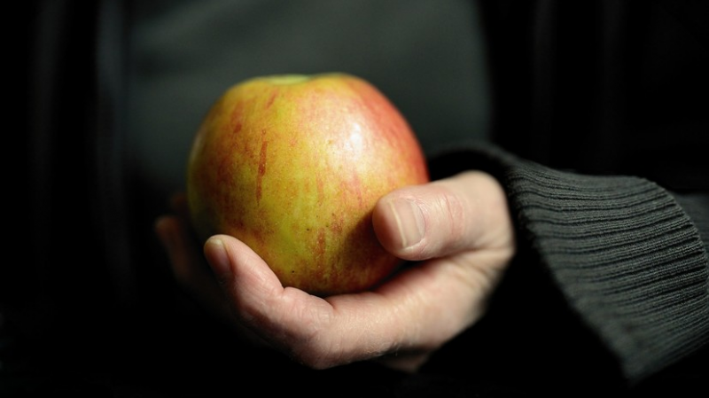 В России предложили ввести лекции диетологов в школах