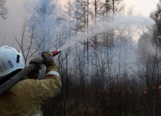 В России за сутки ликвидировали 56 природных пожаров