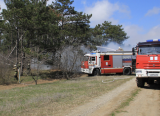 В России за сутки потушили 100 лесных пожаров