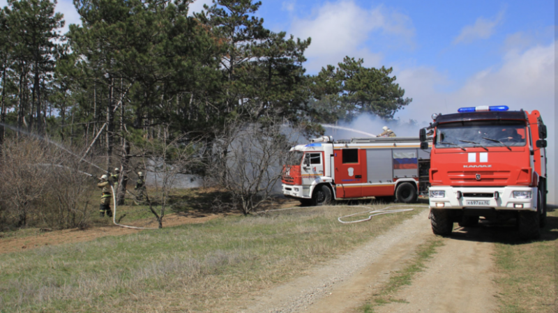 В России за сутки потушили 100 лесных пожаров