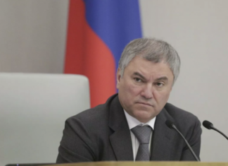 Володин предложил Западу обеспокоиться судьбой Ассанжа и Сноудена