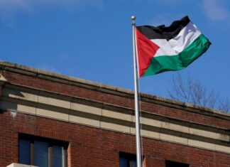 За сутки в Палестине выявили более 1600 случаев коронавируса